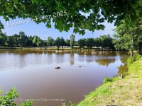 01 - Navires sur plan d'eau 2.jpg